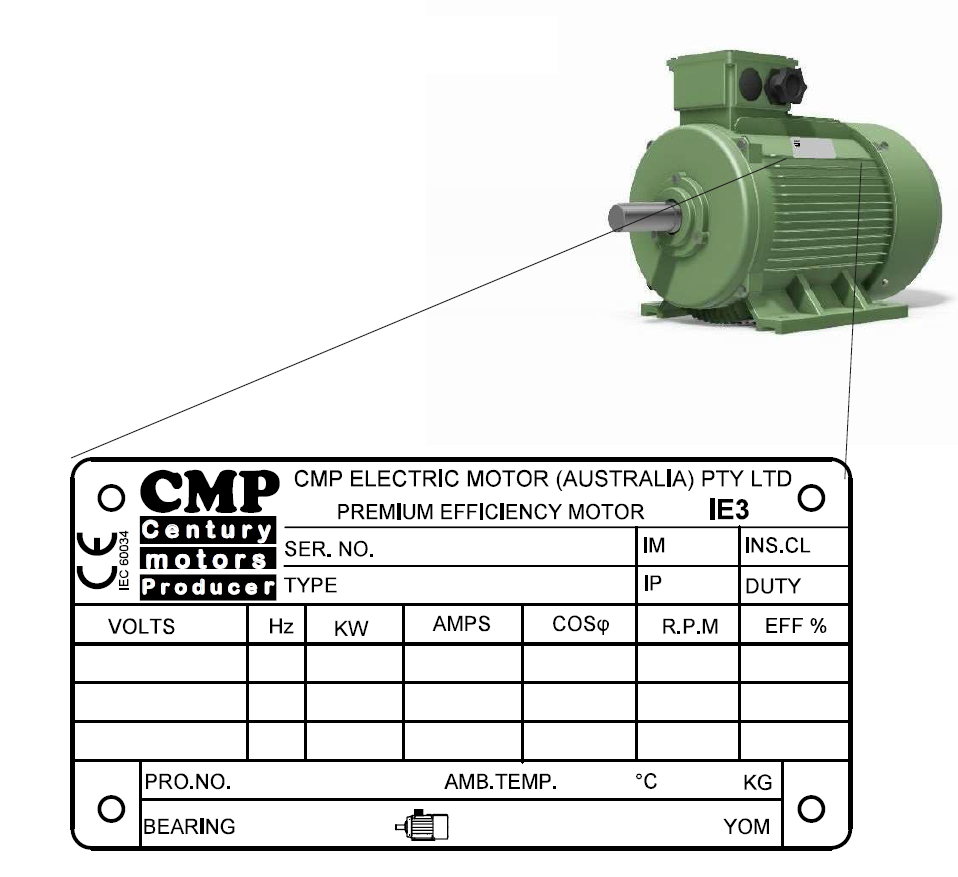 เนมเพลตของมอเตอร์ไฟฟ้าโดยทั่วไปจะติดมากับมอเตอร์ ซึ่งจะแสดงรายละเอียดข้อมูลต่างๆของมอเตอร์ตัวนั้นๆ เช่น ขนาดกำลังไฟฟ้าขาออก, ความเร็วรอบ, แรงดันใช้งาน เป็นต้น
